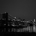 Brooklyn Lights